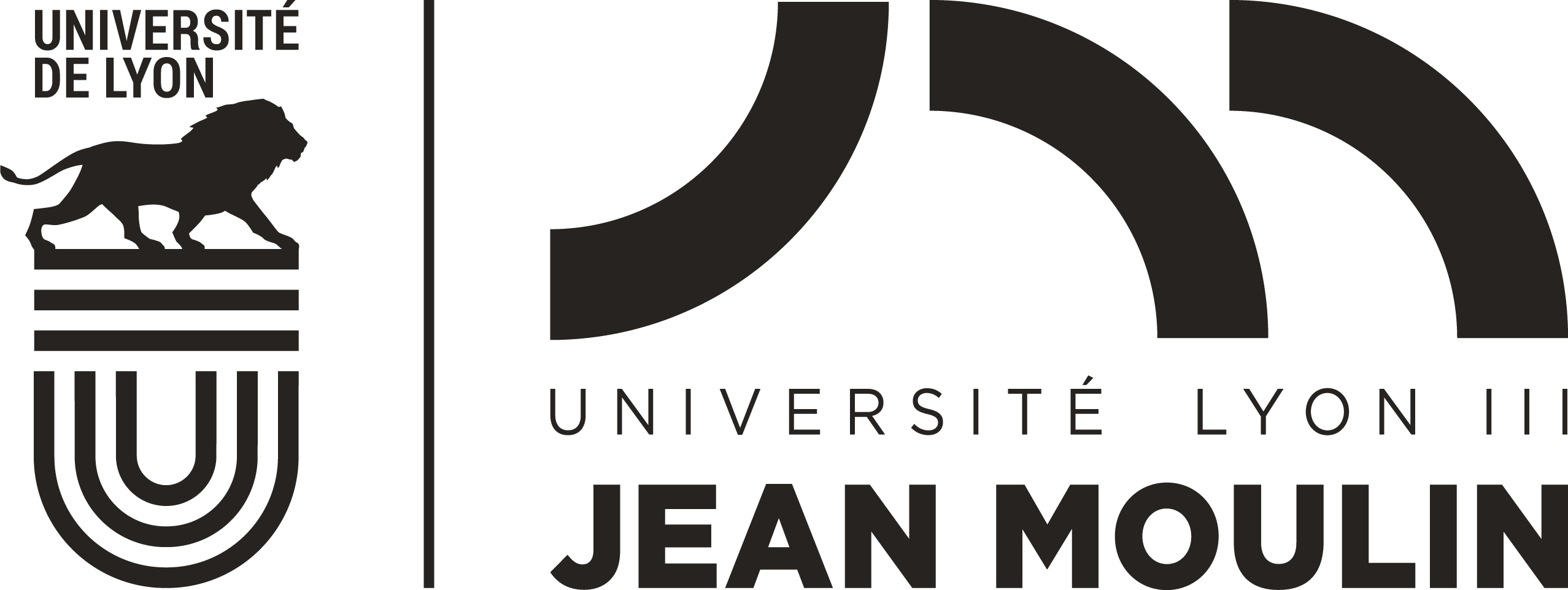 Logo de l'Université Jean Moulin - Lyon 3